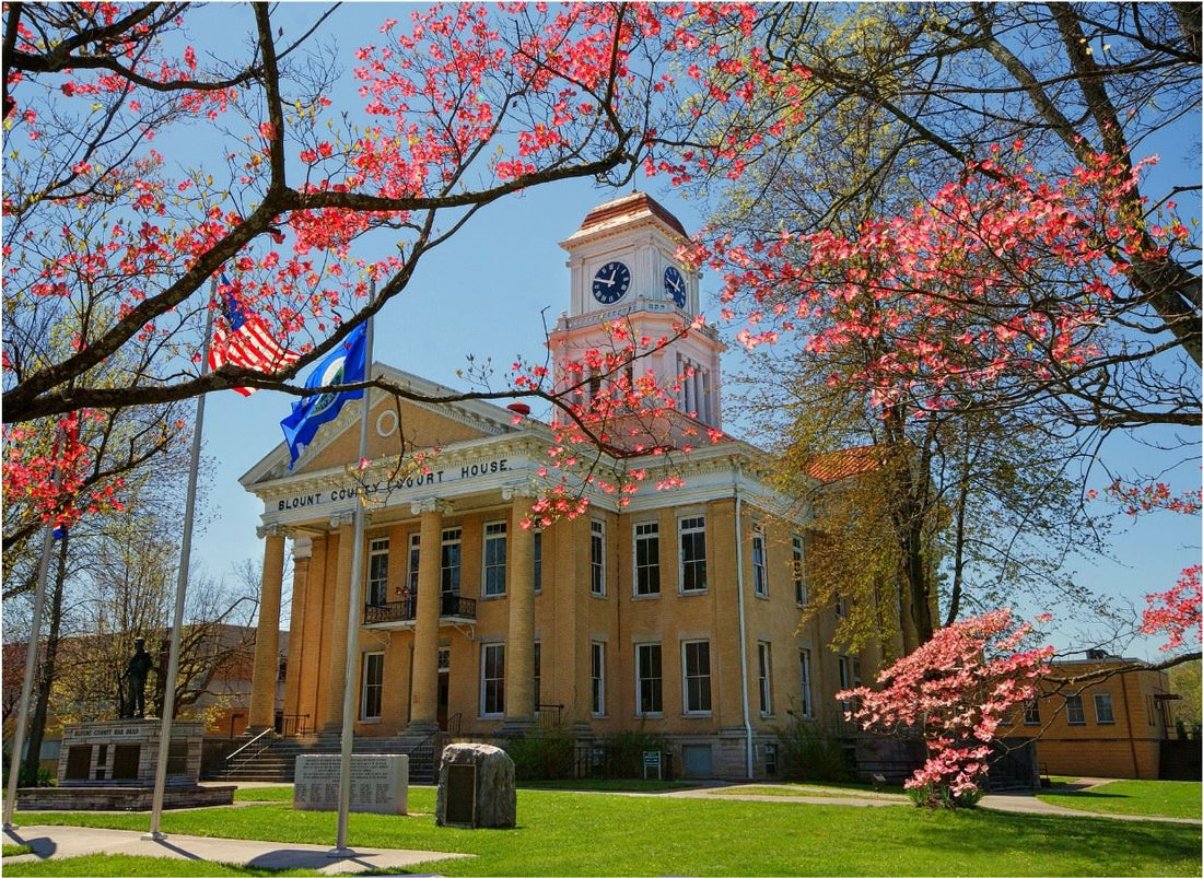 Blount County Sits at the Edge of the Smokies | Data Centers Are Sitting at the Edge of Blount County.